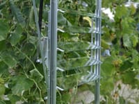 Vitavia 5 Blade Louvre Window (Silver)