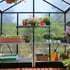 Palram 8x8 Glory Polycarbonate Greenhouse Interior