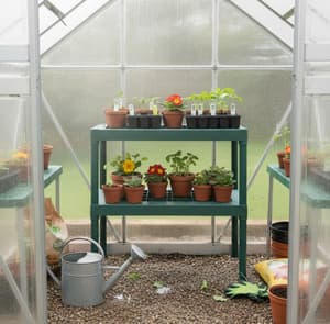 Palram Canopia 2 Tier Staging