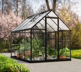 Palram Canopia Hybrid 6x8 Black Polycarbonate Greenhouse