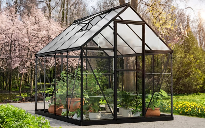 Palram Canopia Hybrid 6x8 polycarbonate greenhouse in black