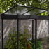 Palram - Canopia Ivy 4x2 Growhouse Raised Lid