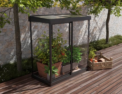 Palram Canopia Ivy 4x2 Growhouse