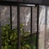 Palram - Canopia Ivy 4x2 Mini Greenhouse