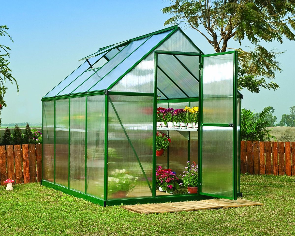 Palram Canopia Mythos 6x8 green greenhouse with 4mm twin-wall polycarbonate glazing in a UK garden