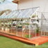 Palram Harmony 6 x 14 Silver Greenhouse with Clear Polycarbonate Glazing
