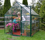 Palram Canopia Harmony 6x8 Green Greenhouse - Clear Polycarbonate