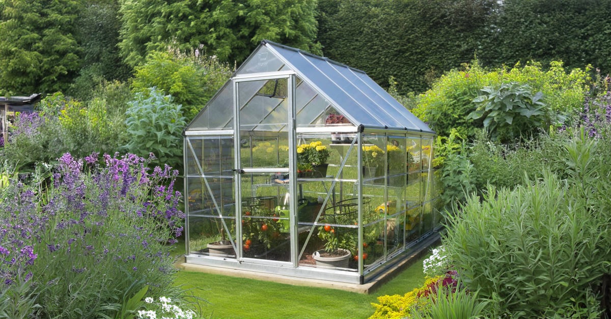 Palram Canopia Hybrid 6x8 silver greenhouse with clear polycarbonate sides and twin-wall polycarbonate roof in a UK garden