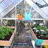 Palram Hybrid Silver Greenhouse Interior