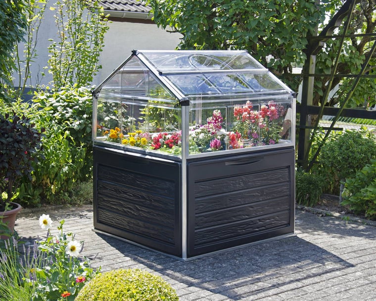 Palram Canopia Plant Inn raised cold frame for hardening off and protecting winter salad seedlings