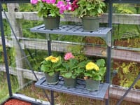 Palram Canopia Twin Shelf Kit