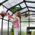 Palram Canopia Hobby Gardener 8x8 Greenhouse with Polycarbonate Glazing Roof Vent