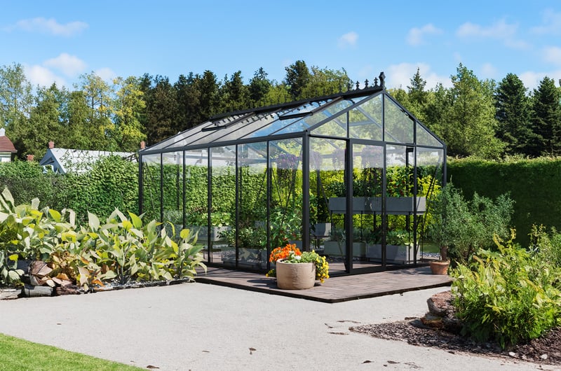 Stali Classic 7x10 anthracite aluminium greenhouse