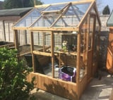 Swallow Kingfisher 6x6 Wooden Greenhouse
