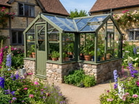 Swallow Cygnet 6x19 Dwarf Wall Wooden Greenhouse