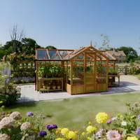 Swallow Cygnet 6x15 T-Shaped Wooden Greenhouse