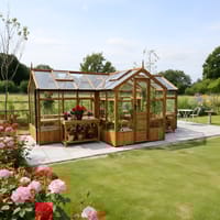 Swallow Cygnet 6x19 T-Shaped Wooden Greenhouse