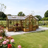 Swallow Cygnet 6x19 T-Shaped Wooden Greenhouse