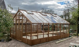 Swallow Falcon 13x37 Wooden Greenhouse