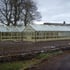 Swallow Falcon13ft Wide Greenhouses