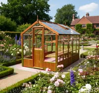 Swallow Kingfisher 6x10 Wooden Greenhouse
