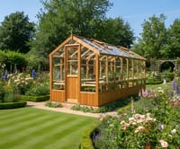 Swallow Kingfisher 6x16 Wooden Greenhouse