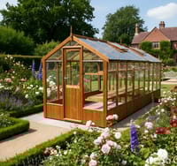 Swallow Kingfisher 6x18 Wooden Greenhouse 