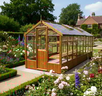 Swallow Kingfisher 6x20 Wooden Greenhouse 