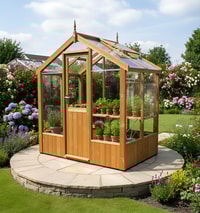 Swallow Kingfisher 6x4 Wooden Greenhouse