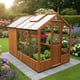 Swallow Kingfisher 6x6 Greenhouse + 4ft Shed Combination