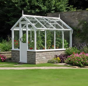 Swallow Kingfisher 6x8 Dwarf Wall Wooden