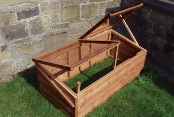 Swallow Sparrow Cold Frame Oiled