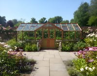 Swallow Swan 8x22 Wooden Greenhouse