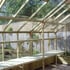 Swallow wooden greenhouse Falcon Staging timber