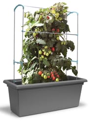 Gardenico Magnus Self Watering Living Wall Kit 800mm Stone Grey