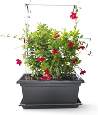 Gardenico Magnus Self Watering Living Wall Kit 800mm Anthracite
