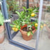 2x3 Access City Growhouse Lean-To Greenhouse With Back