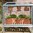 Access 2x3 Herb House Mini Greenhouse
