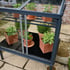 Access Herb House Mini Greenhouse Anthracite