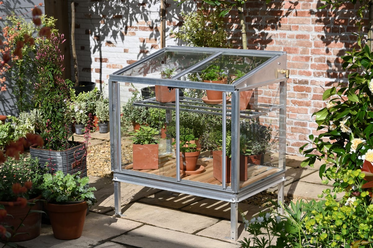 Access Herb House 1x3 timber lean-to mini greenhouse in a UK courtyard against a brick wall, showing the single-pitch roof shape and shelving inside — example of a small-space lean-to mini greenhouse