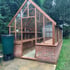 Swallow Eagle 8x15 Wooden Greenhouse Dwarf Wall Oiled