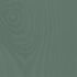 Thorndown Marshland Green Wood Paint Colour Swatch with Grain