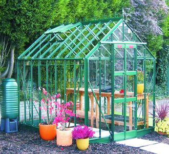 Elite Thyme 6ft Wide Greenhouse