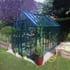 Elite Thyme 6x4 Greenhouse