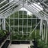 Elite Thyme 8ft Wide Greenhouse Interior