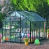 Elite Thyme 8ft wide greenhouse