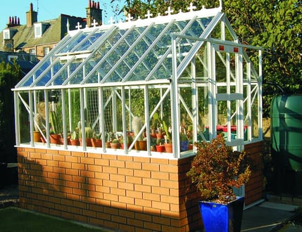 Elite Thyme Dwarf Wall 6ft Wide Greenhouse
