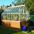 Elite Thyme 6 dwarf wall greenhouse