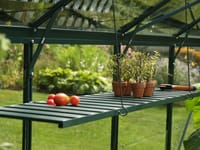 Vitavia Green Folding Shelf