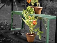 Vitavia Green Top Tier Staging Extension